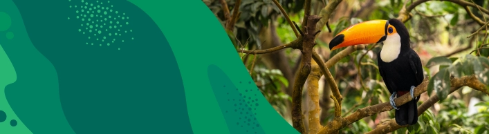 Bird-friendly habitat