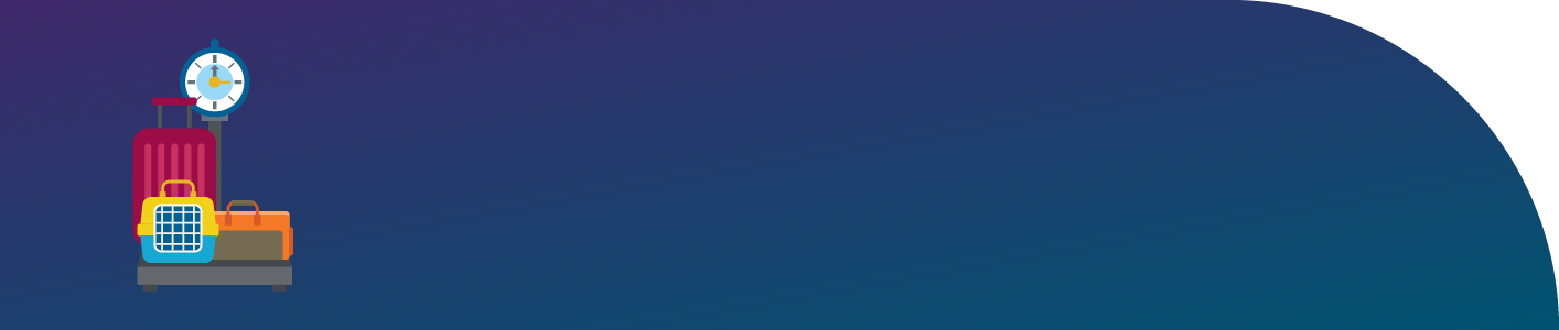 Three bags on dark blue background next to the phrase "Lighten up."