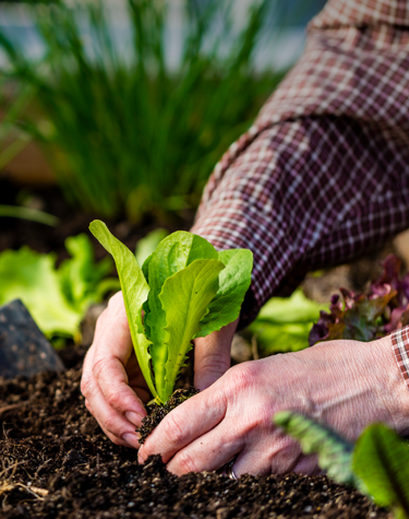 Have a Greener Impact
