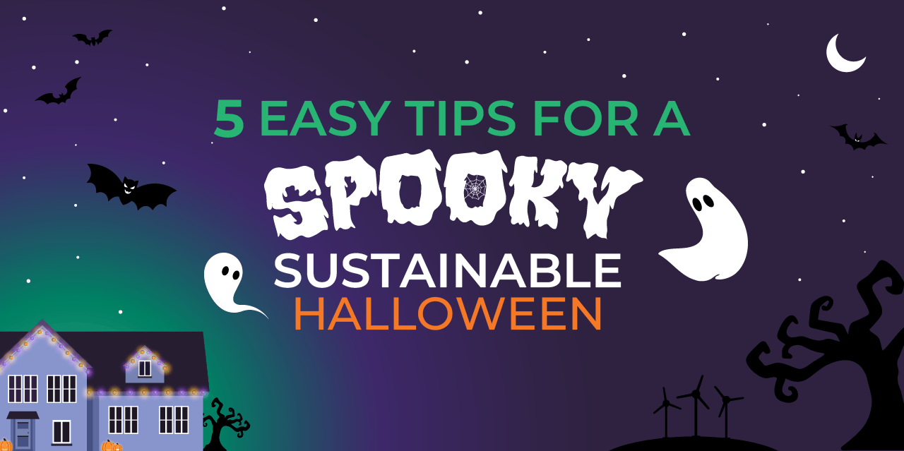 5 Easy Tips for A Spooky Sustainable Halloween