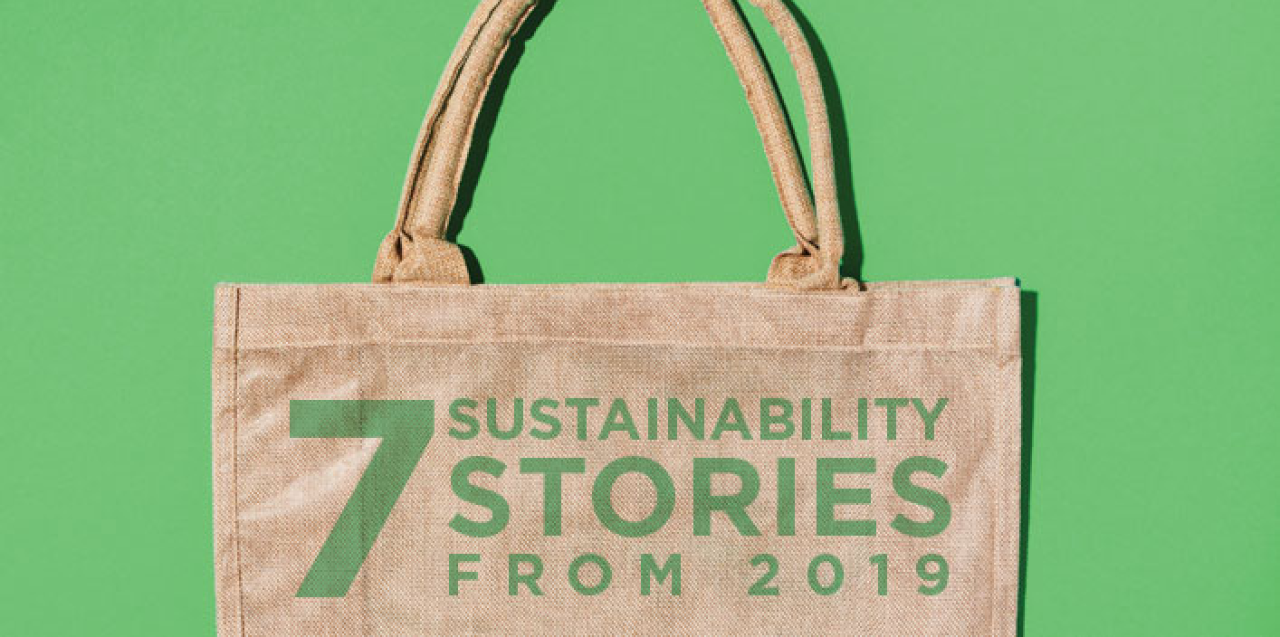 7 sustainability stories from 2019