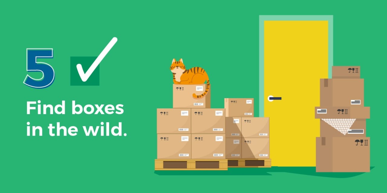 Find boxes in the wild