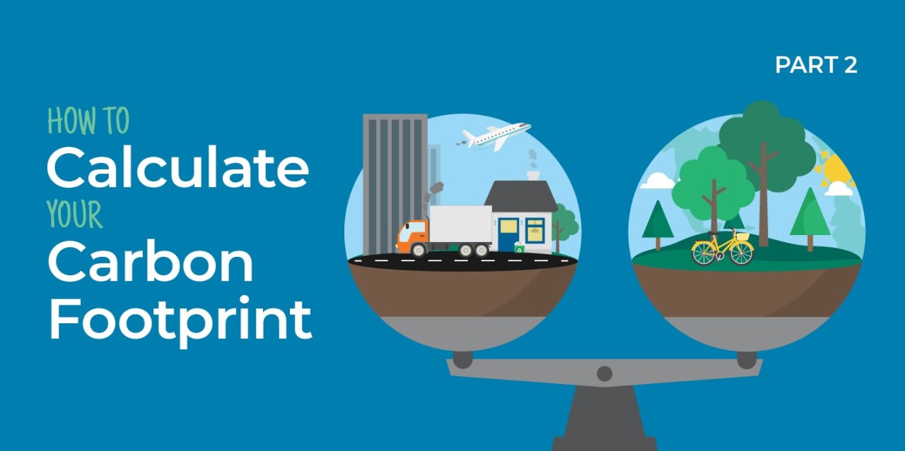 How to calculate your carbon footprint