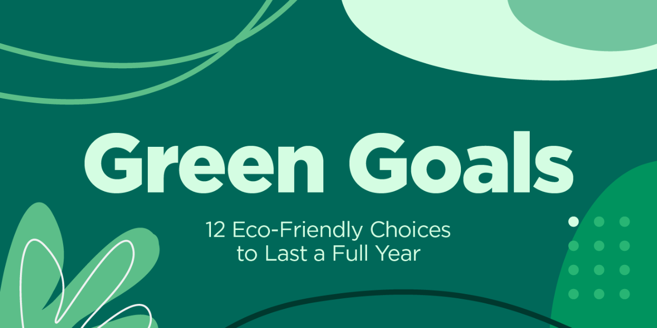 Green goals: 12 eco-friendly choices to last a full year