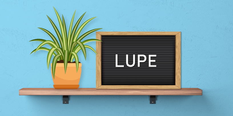 Plants help you recover from illness faster.