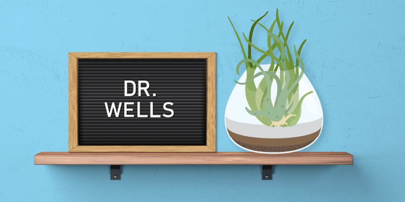 Plants help with depression and mental wellness.