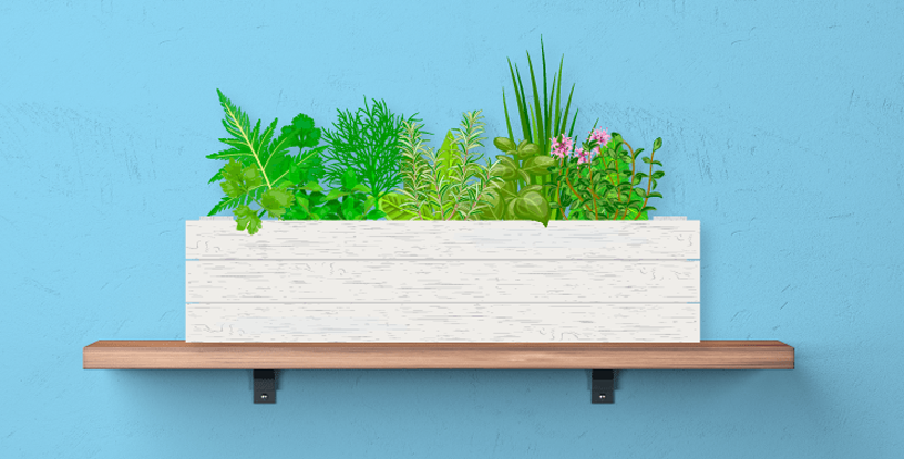 Plants are just great, useful and good to have around.