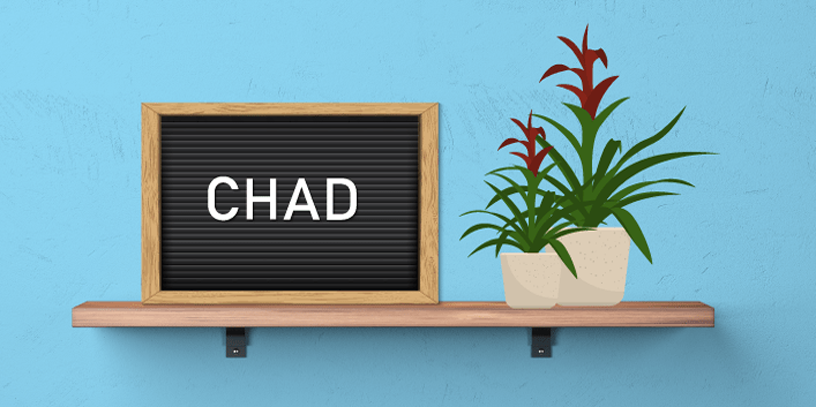 Plants increase productivity and overall job satisfaction.