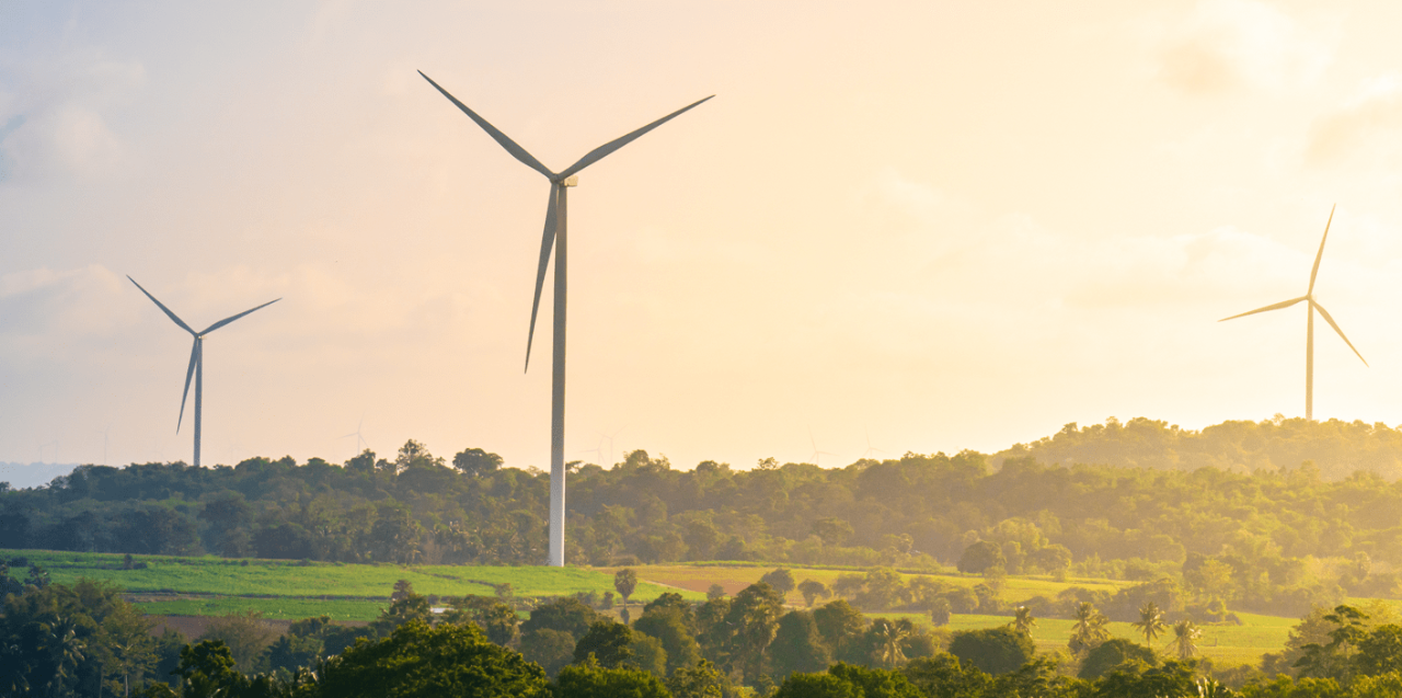 Wind turbines on green lush landscape with an evening sky.