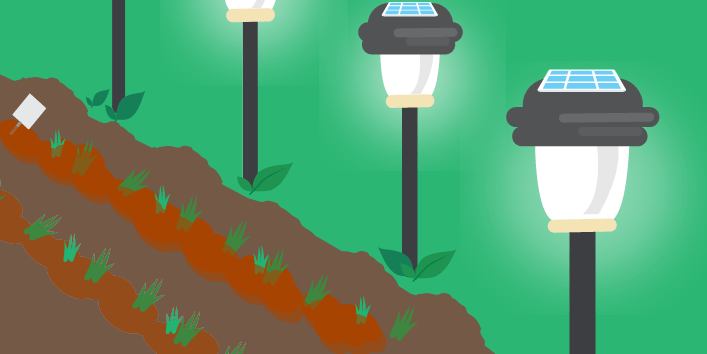Solar powered pathway lights along garden row.