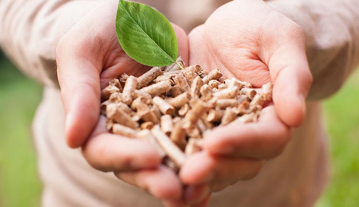 Renewable Energy 101: Biomass