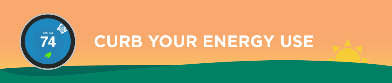 Curb your energy use