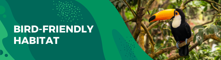 Bird-friendly habitat