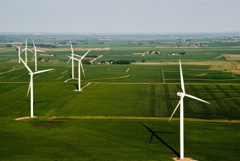 Photo showing a green field with wind turbines. 