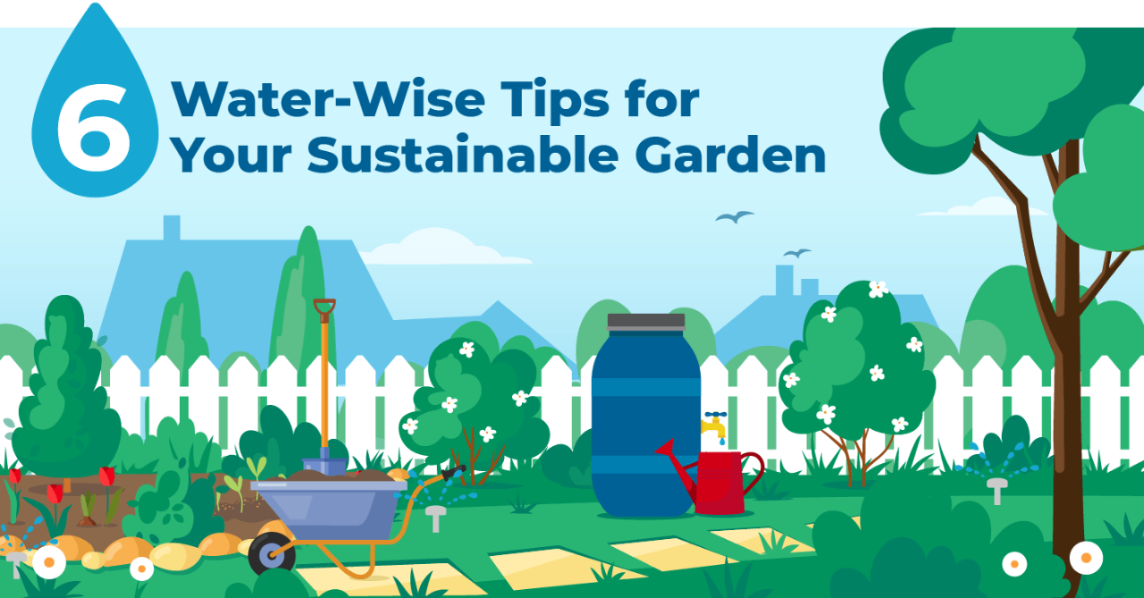 6 water-wise tips for your sustainable garden.(Desktop) 6 water-wise tips for your sustainable garden.(Mobile)