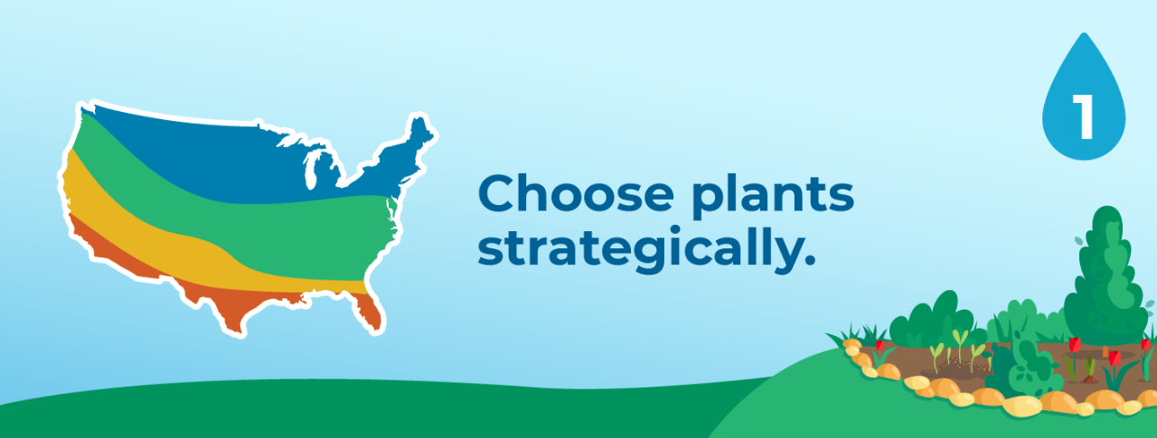 1. Choose plants strategically.