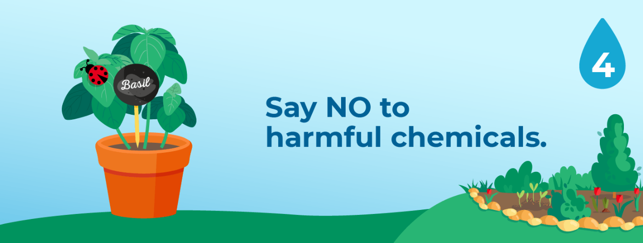 4. Say no to harmful chemicals.
