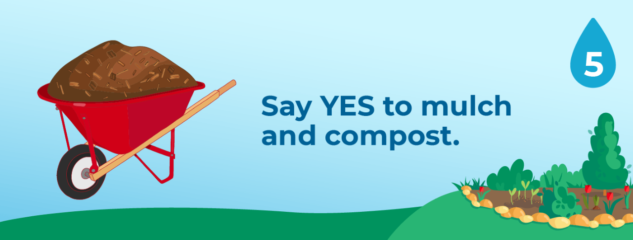 5. Say yes to mulch and compost.