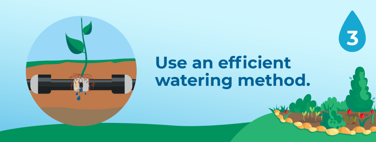 3. Use an efficient watering method.