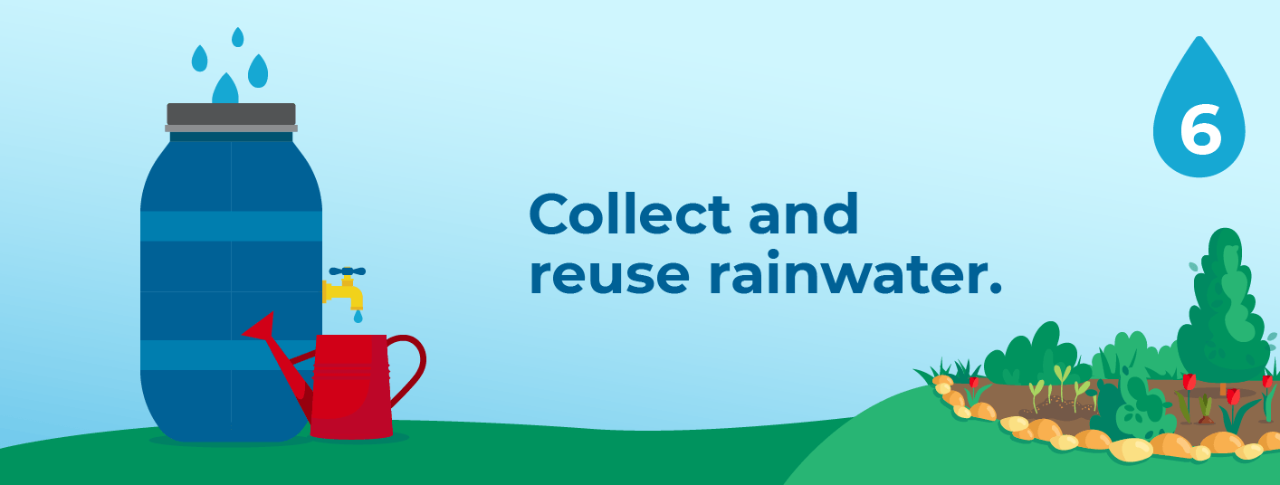 6. Collect and reuse rainwater.
