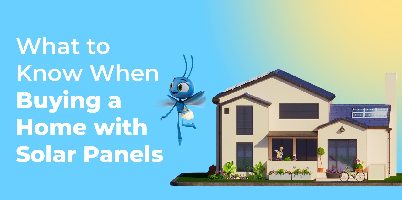 what-to-know-when-buying-a-home-with-solar-panels