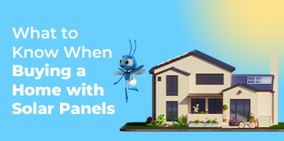 what-to-know-when-buying-a-home-with-solar-panels
