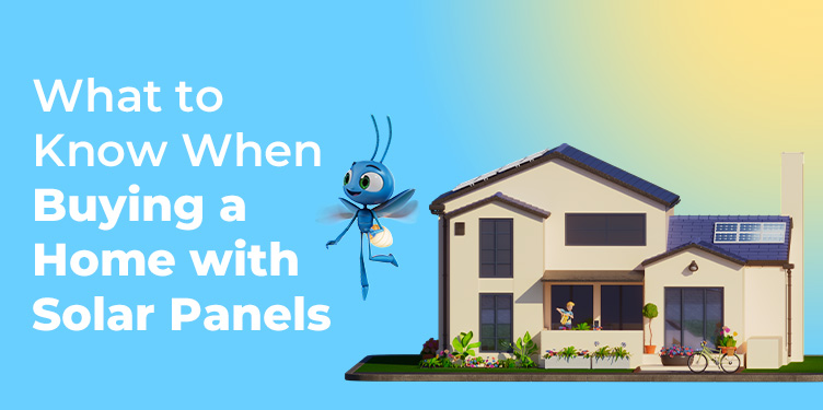 what-to-know-when-buying-a-home-with-solar-panels