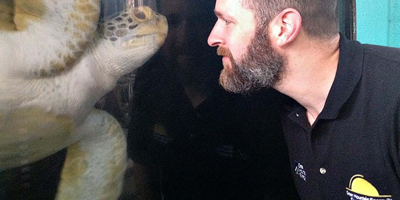 Sea Turtle Inc