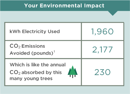 Enviromental Impact Example 