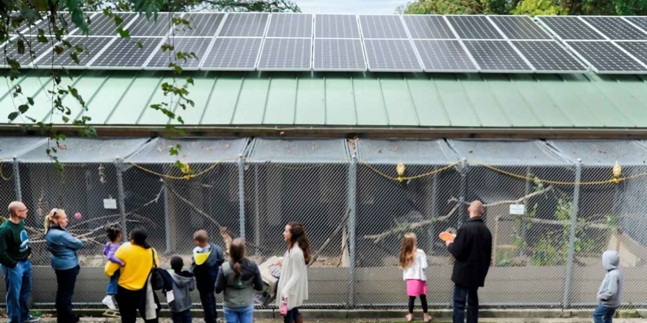 Animal Rescue League