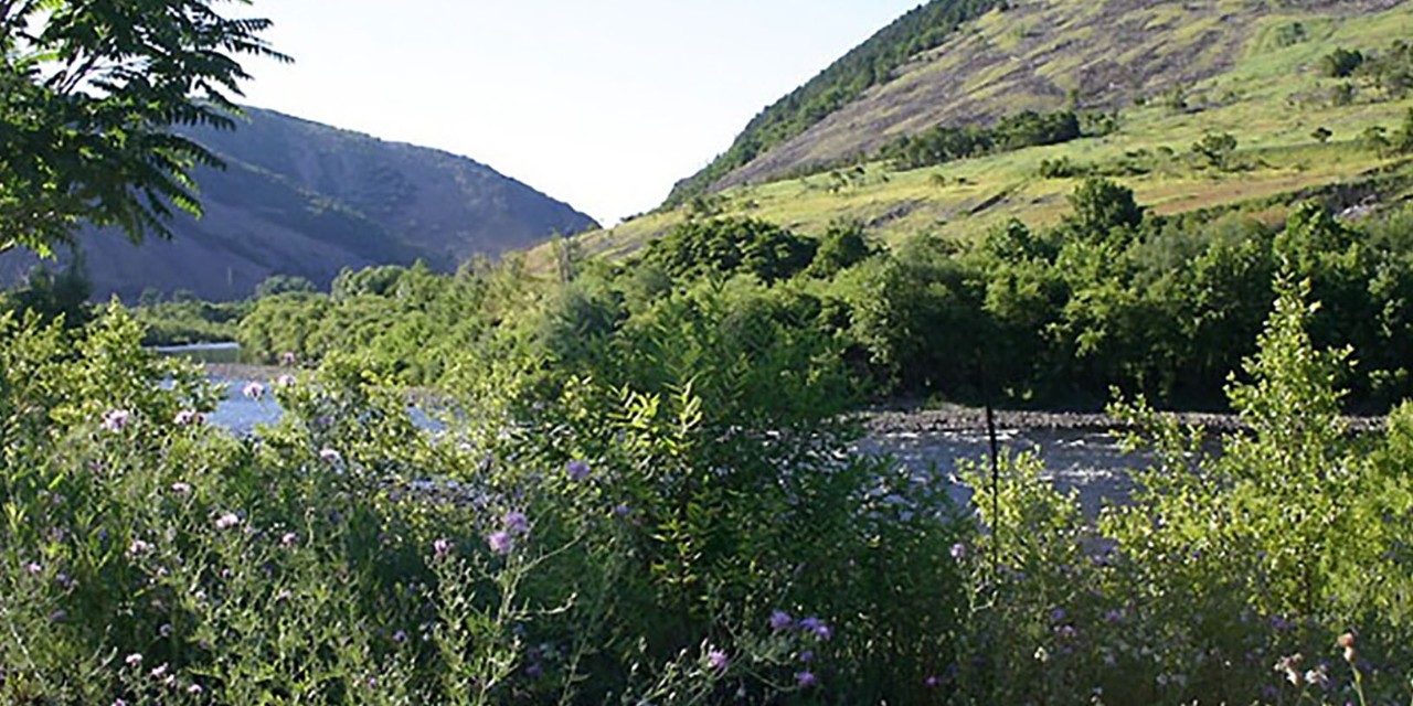 lehigh-nature-center
